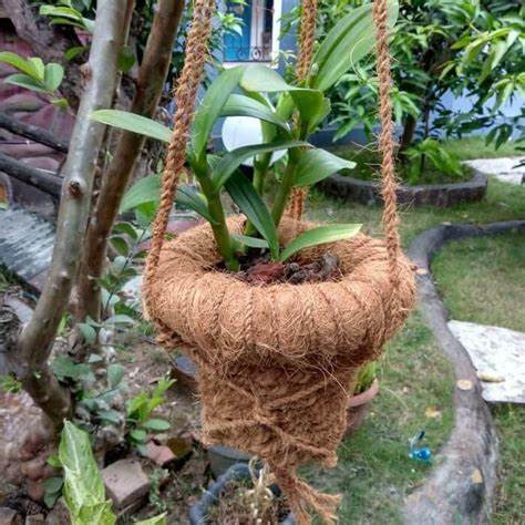 cara membuat sabut kelapa